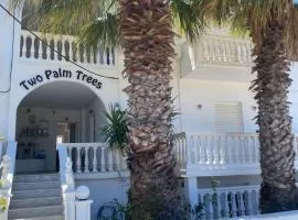 Two Palm Trees 1
