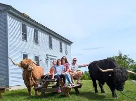 Cozy Highland Cattle-View Suite Peaceful, Private Pet-Friendly