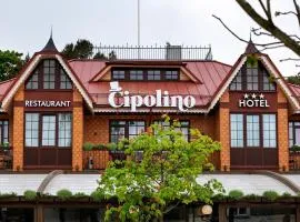 Cipolino