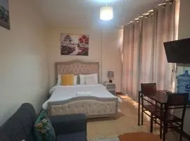 Executive Express Rooftop Pool suites- Ngara