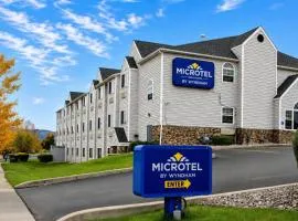 Microtel Inn & Suites by Wyndham Bozeman