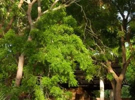Lahara - Komari