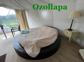 Ozols, hotel v destinaci Vecpiebalga