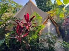Shamalay - Nomad Experience
