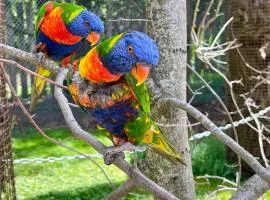 Suite Aracari, clim, balneo, terrasse - Parc des Oiseaux