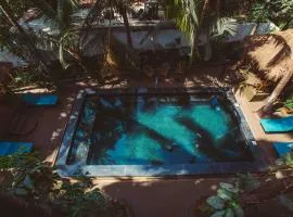Alpa Viram Retreat Goa