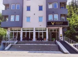 Hotel Aventus -Novi Pazar Banja