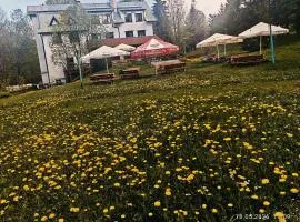 Wróbelek