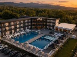 LOTUS Hotel Solotvino