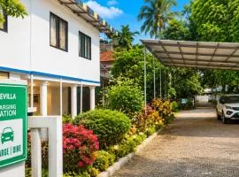 Nature Villa Kochi
