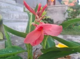 Inara Homestay