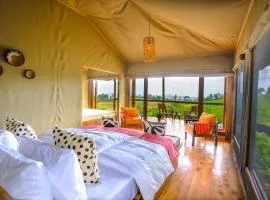 Rhotia Valley Tented camp