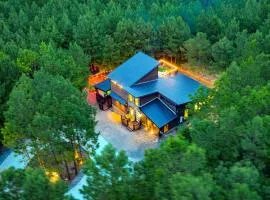 Rooftop Patio, Hot Tub, Treehouse with Slide, Family and Pet Friendly
