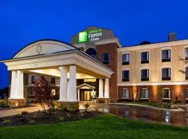 Holiday Inn Express Hotel & Suites Lansing-Dimondale by IHG