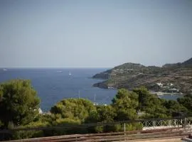 Phi Aegina