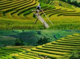 Mùa Vàng Homestay Mù Cang Chải