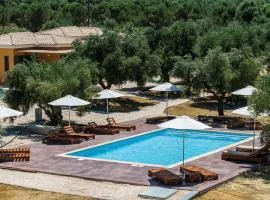 Eleon Olive Retreat - Skourochori