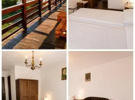 Pensiunea Alpin Marisel Self Check-in