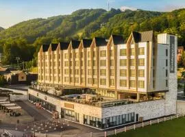Residence Inn by Marriott Bromont