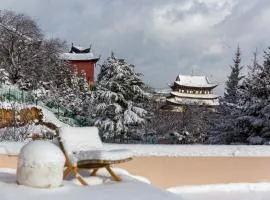 Shangri-la Designer Homestay without Summer(By the Cosmic Wheel of Dukezong)
