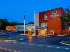 Chelmsford Inn