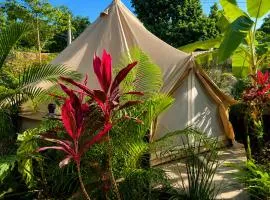 Shamalay - Nomad Experience