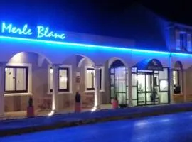 Le Merle Blanc Hôtel Logis, hotel em Digoin