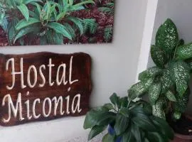 Hostal Miconia