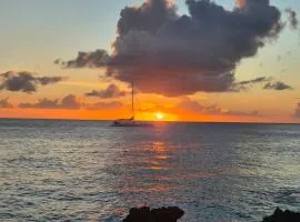Viva paradise