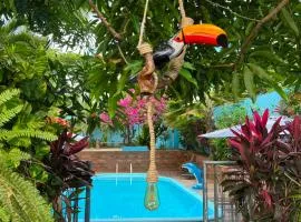 Hotel Borari