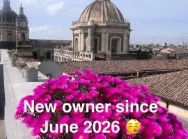 Terrazza Sant'Agata Penthouse