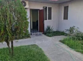 Zvartnoc siti hause 777
