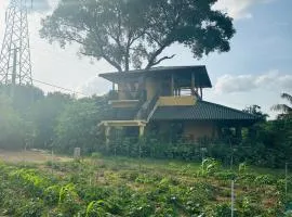 Green Heaven Sigiriya