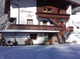 A picture of the hotel: Appartement Ludwigshof