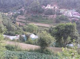 Hotel Photo: Spacious Room Near Tuttu Shimla