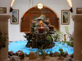 รูปภาพของโรงแรม: Hotel David