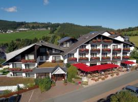 Sporthotel Zum Hohen Eimberg, Hotel in Willingen