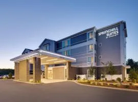 SpringHill Suites by Marriott Hampton Portsmouth