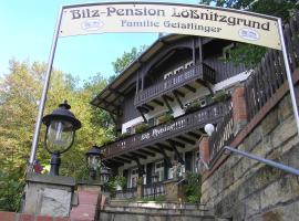 Hotel Photo: Bilz-Pension