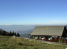 A picture of the hotel: Cozy Holiday Home in Zwischenwasser near Ski Lift