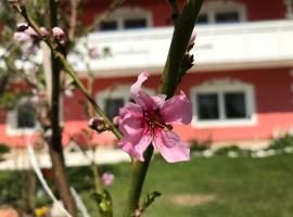 Photo de l’hôtel: Pension Hadanig