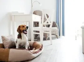Hotel, Restaurant, Café Pharisäerhof - Nordseeurlaub mit Hund