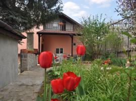 Foto di Hotel: Holiday Home Vilata