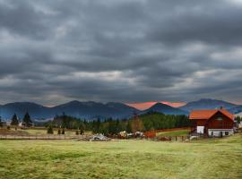 Pensiunea Zana Muntilor, hotel in Piatra Fantanele