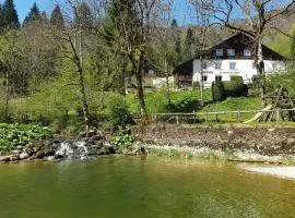 Auberge Le Moulin Du Plain