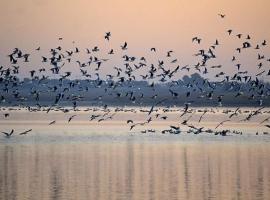 Las Banderas、Villafranca de los Caballerosのホテル