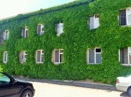 Hotel Lilo near Airport