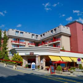 Alpine Classic Hotel، فندق في ليسين