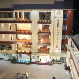 Hotel Harrison Palace, hotel en Birātnagar