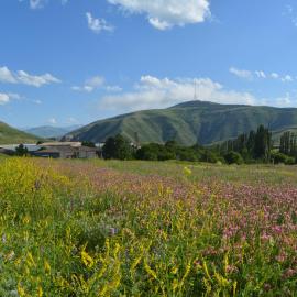 Azoyan Holiday Resort, hotel em Sisian